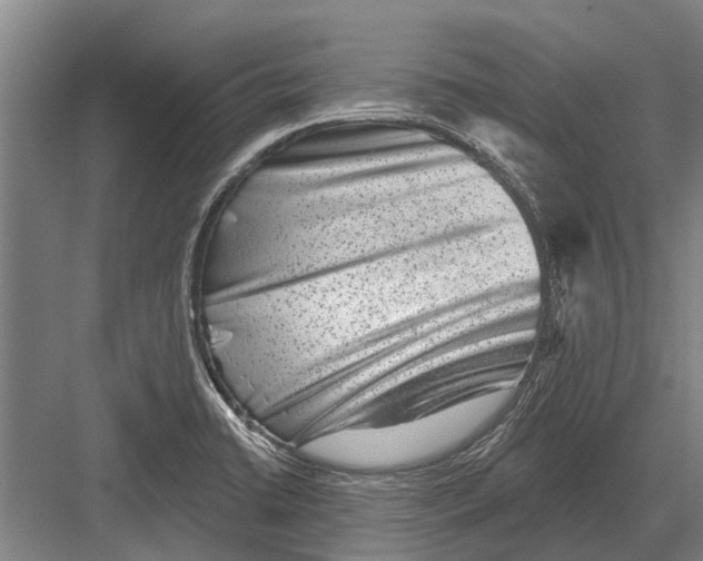 X0000081561422200702121344