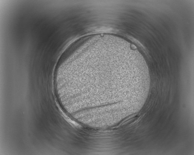 X0000081561423200702121344