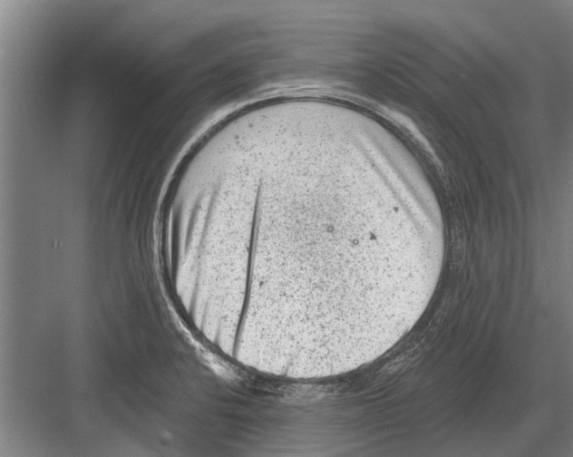 X0000081561424200702121344