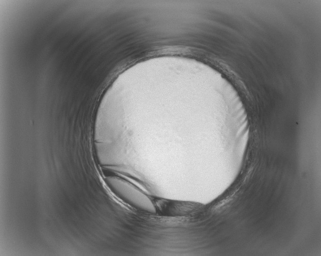 X0000081561425200702121344