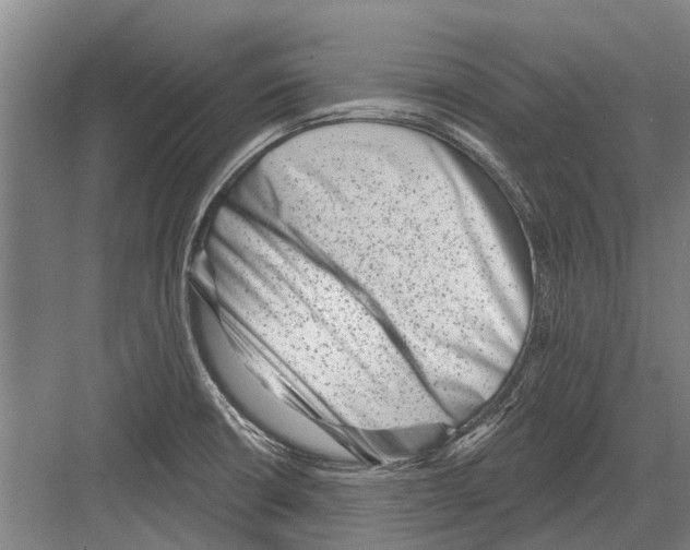 X0000081561426200702121344