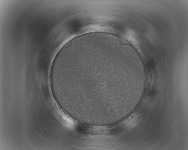 X0000081561427200702121344