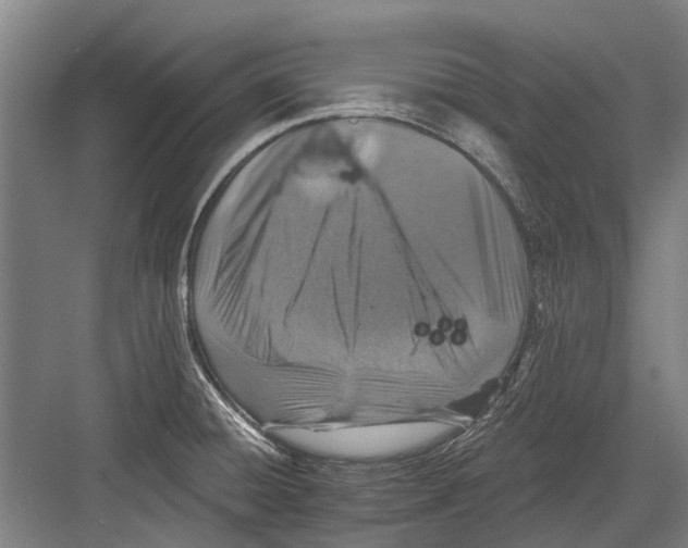 X0000081561428200702121344