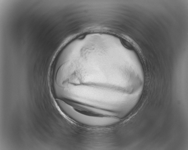 X0000081561429200702121344