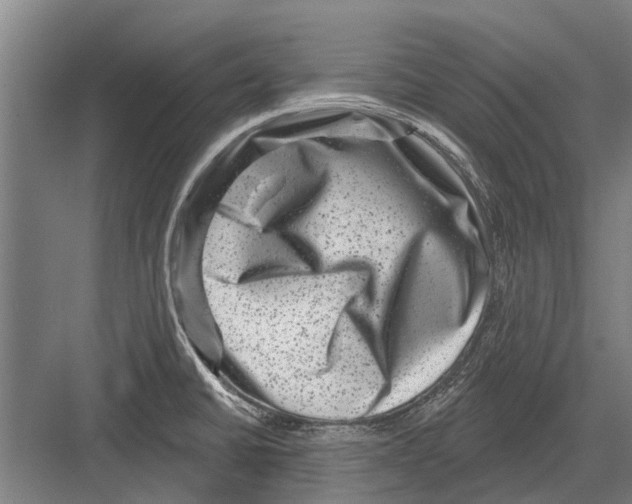 X0000081561430200702121344