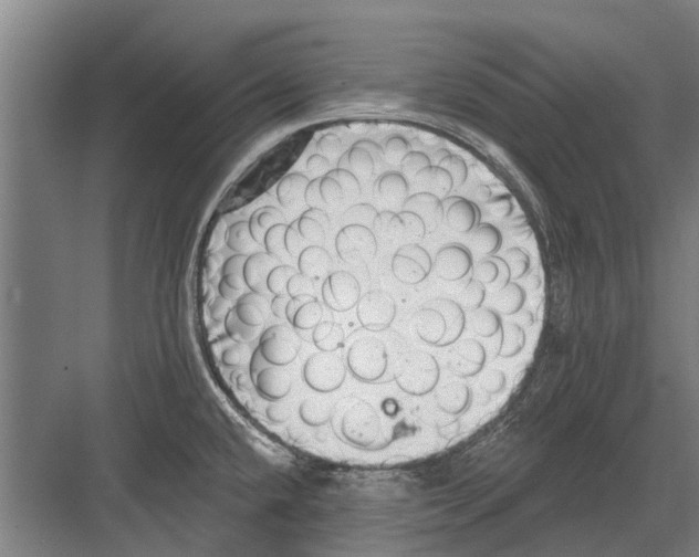 X0000081561432200702121344