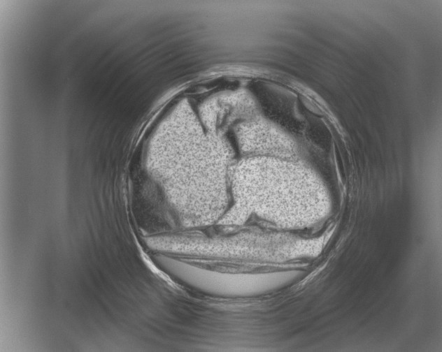 X0000081561433200702121344