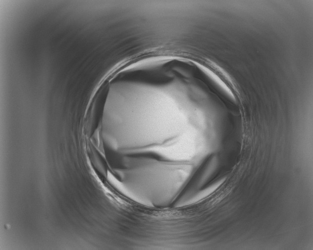 X0000081561434200702121344