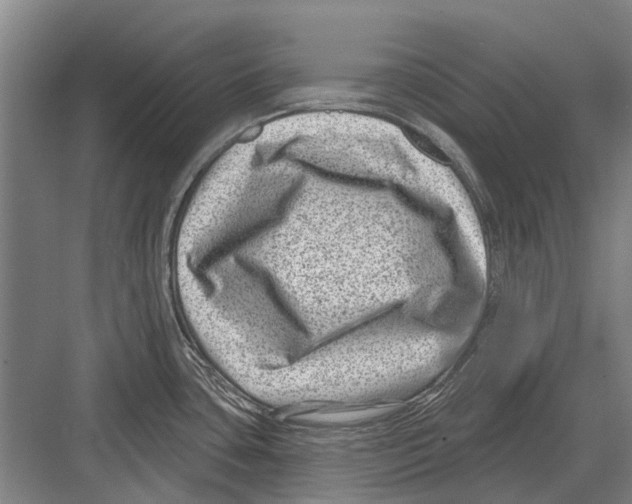 X0000081561435200702121344