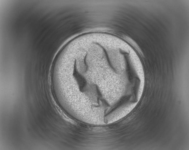 X0000081561436200702121344