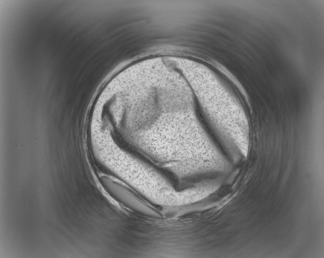 X0000081561437200702121344