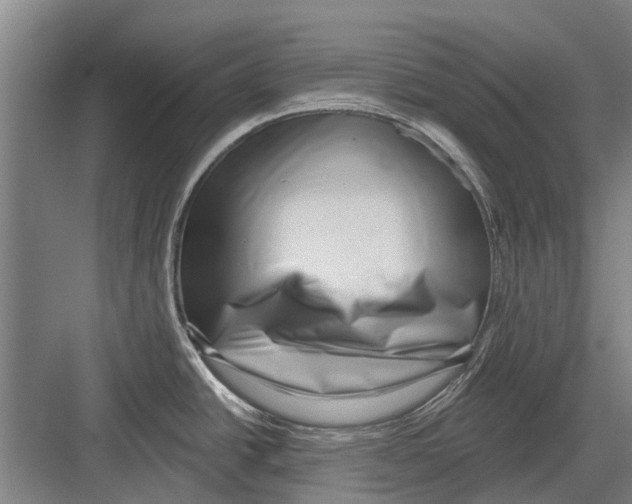 X0000081561438200702121344