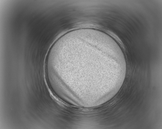 X0000081561439200702121344