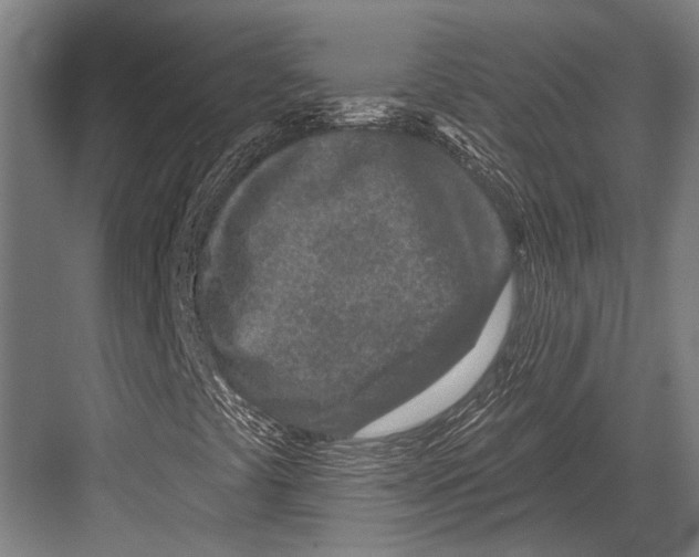 X0000081561441200702121343