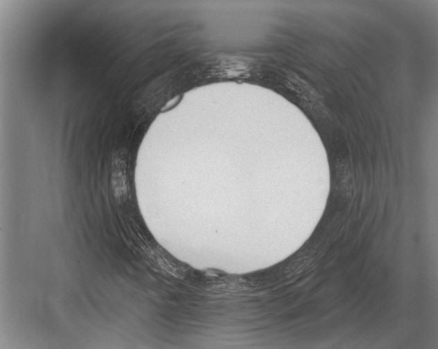 X0000081561442200702121343