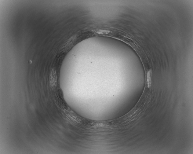 X0000081561443200702121343