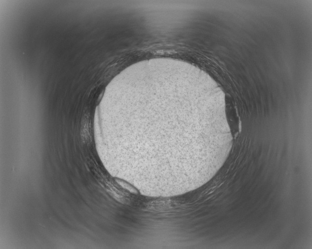 X0000081561444200702121343