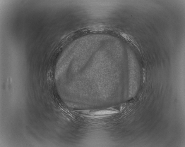 X0000081561445200702121343