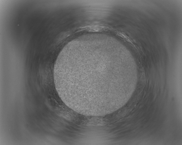 X0000081561446200702121343