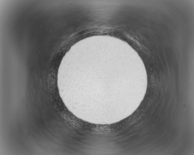 X0000081561447200702121343