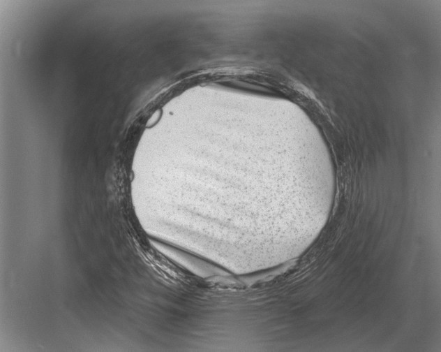 X0000081561448200702121343