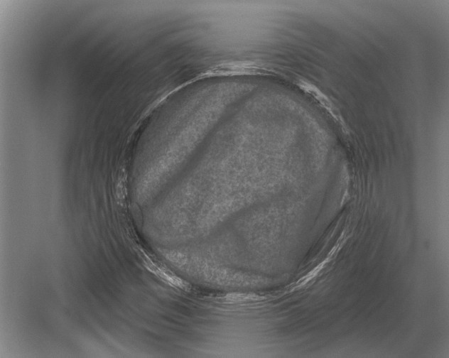 X0000081561449200702121343