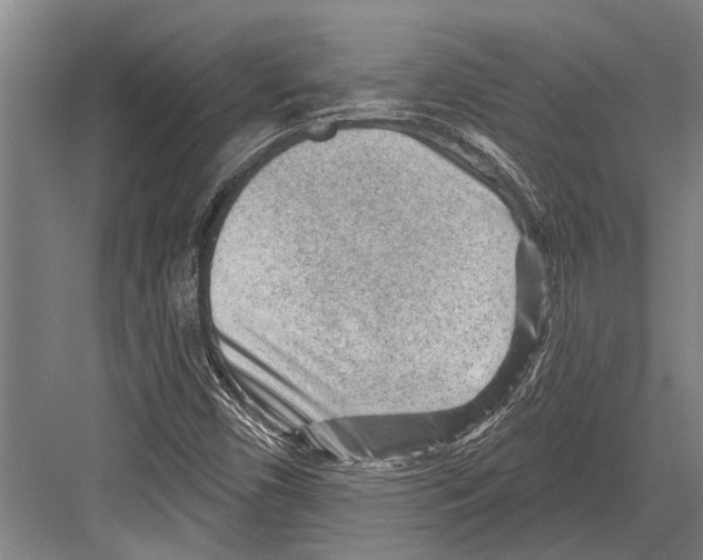 X0000081561450200702121343