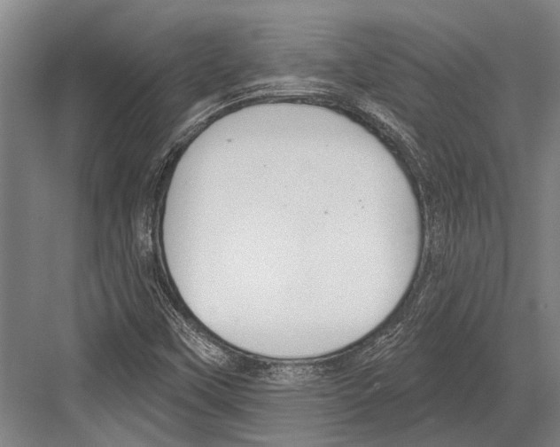 X0000081561451200702121343