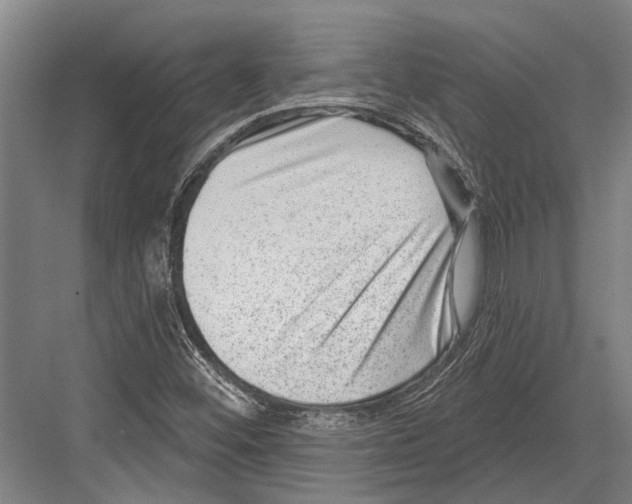 X0000081561452200702121343