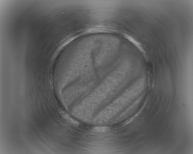 X0000081561453200702121343