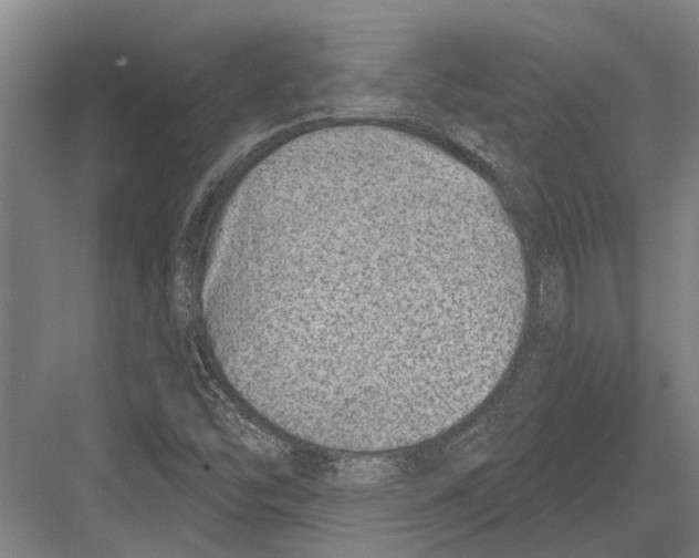 X0000081561454200702121343