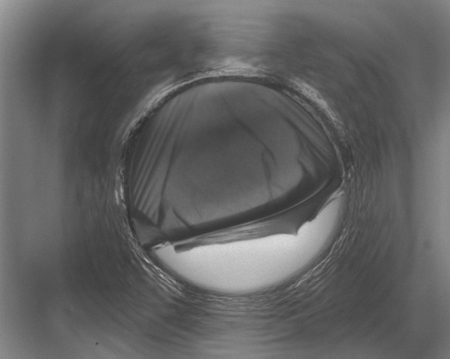 X0000081561455200702121343