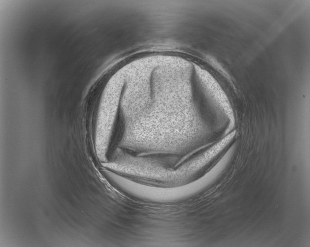 X0000081561456200702121343