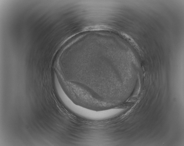 X0000081561457200702121343