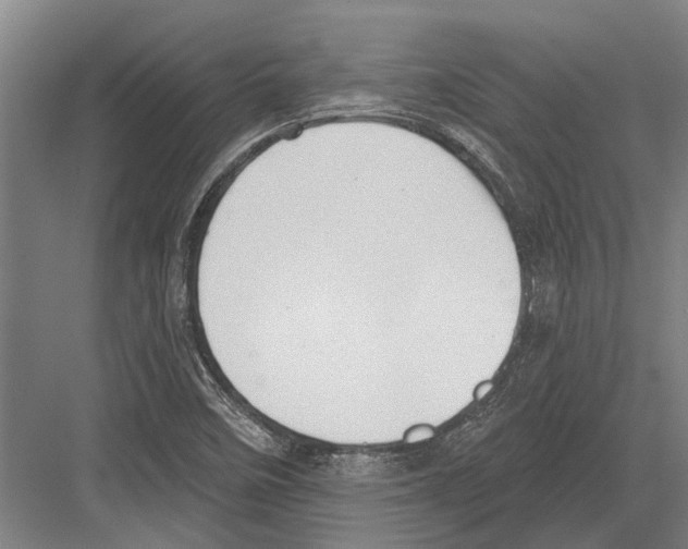 X0000081561458200702121343