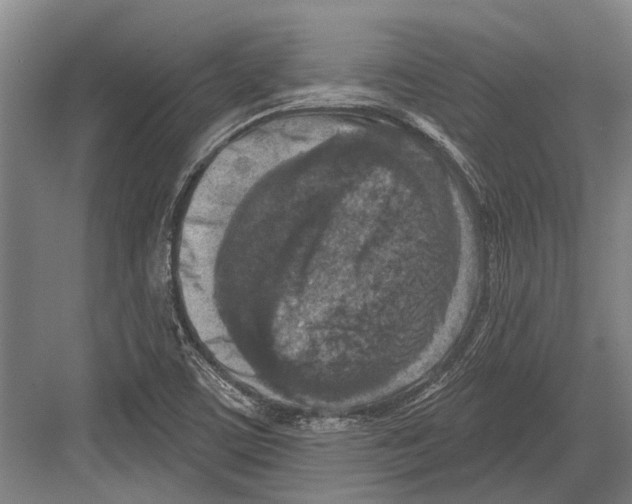 X0000081561459200702121343