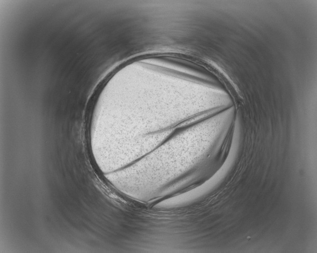 X0000081561460200702121343