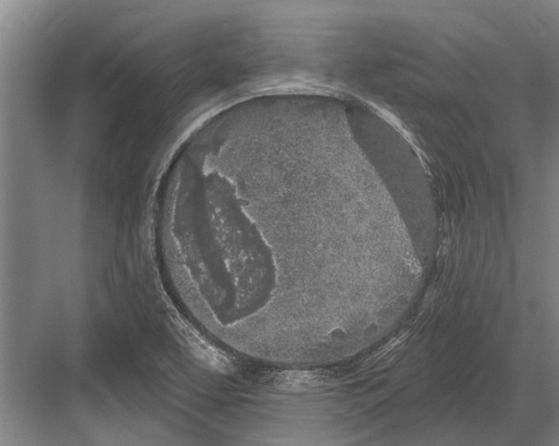 X0000081561463200702121343