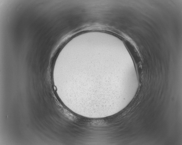 X0000081561464200702121343