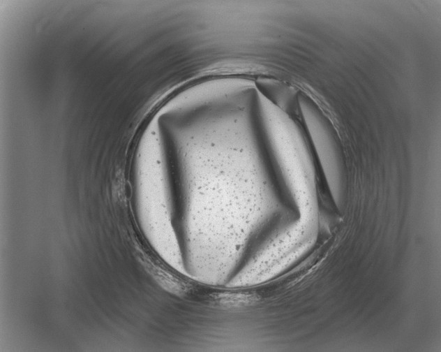 X0000081561465200702121343