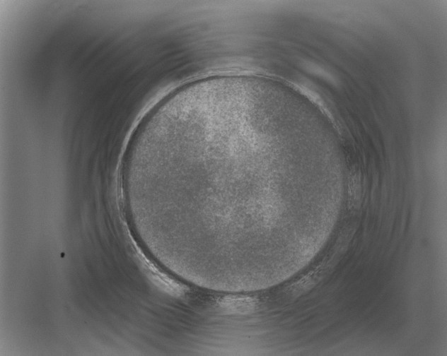 X0000081561466200702121343