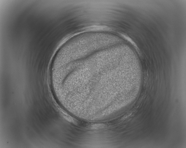 X0000081561467200702121343