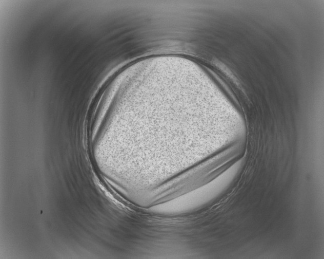 X0000081561468200702121343