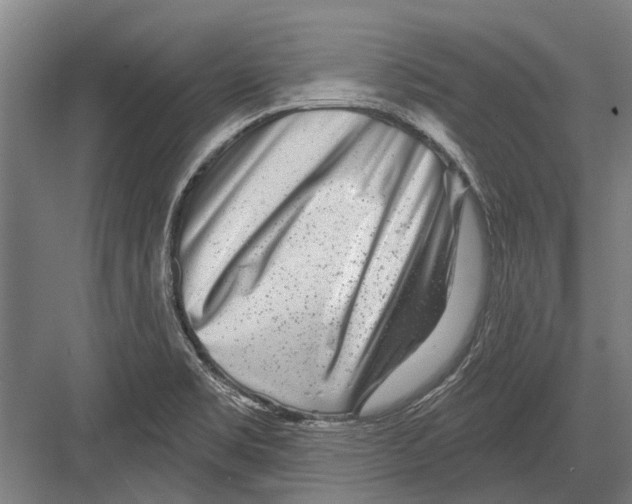 X0000081561469200702121343