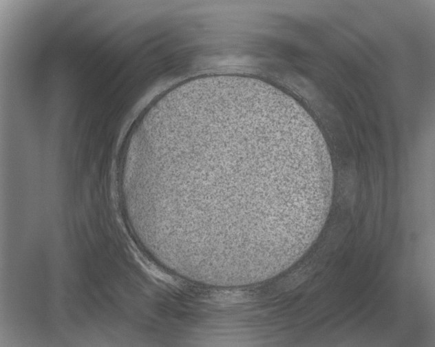 X0000081561470200702121343