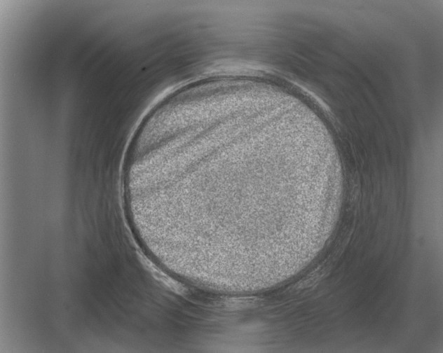 X0000081561471200702121343