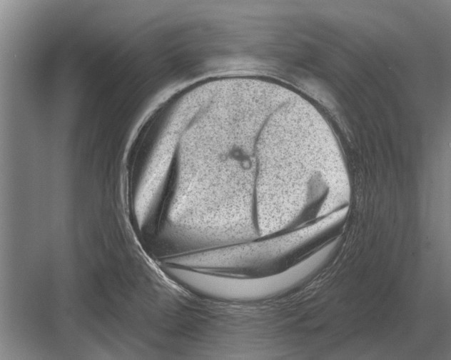 X0000081561472200702121343