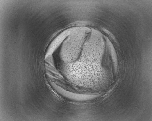 X0000081561473200702121343