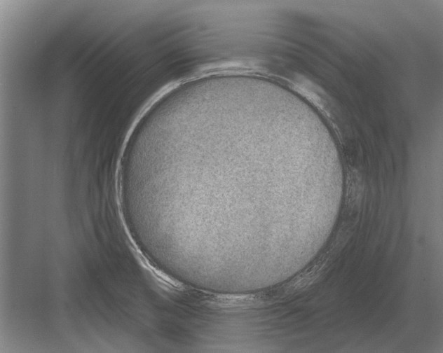 X0000081561474200702121343