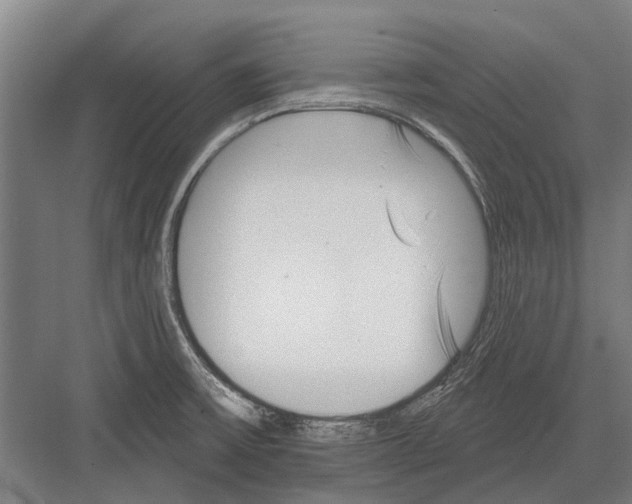 X0000081561475200702121343